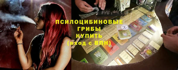 ПСИЛОЦИБИНОВЫЕ ГРИБЫ Алзамай