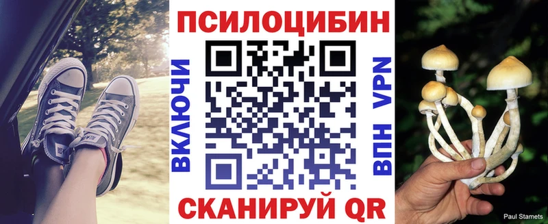Псилоцибиновые грибы MAGIC MUSHROOMS где продают наркотики Вихоревка